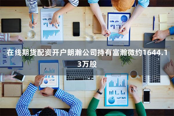 在线期货配资开户朗瀚公司持有富瀚微约1644.13万股