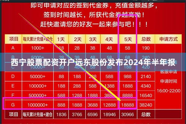 西宁股票配资开户远东股份发布2024年半年报
