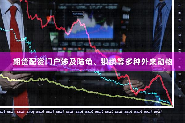期货配资门户涉及陆龟、鹦鹉等多种外来动物